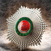 Payitaht Abdülhamid Order of Osmaniye (6)