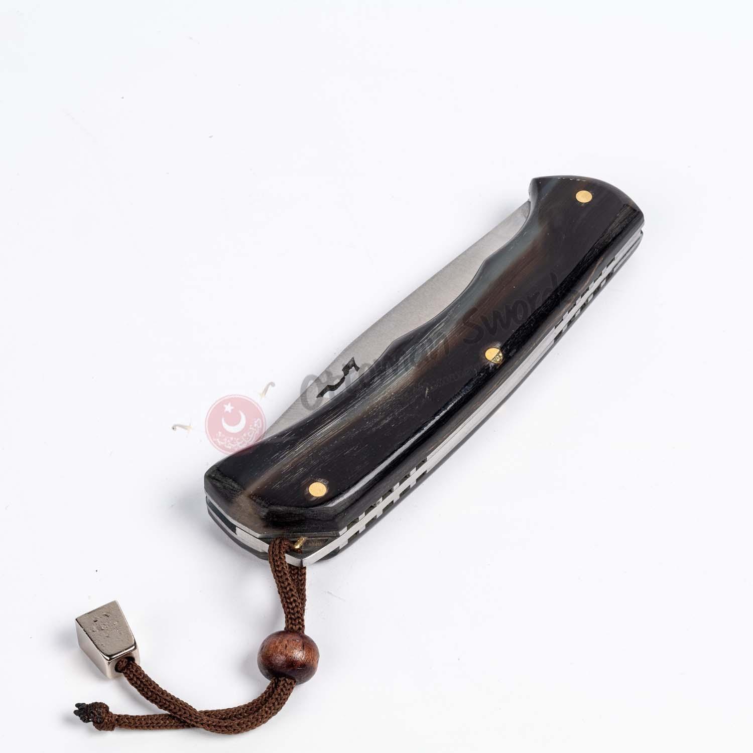 Ram Horn Handle Liner Lock Folding Pocket Knife (2)