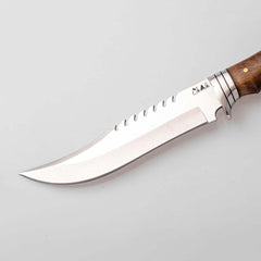 Wolf, Lion, Eagle Head Bayonet Knife For Sale (2)